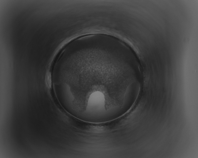 X0000100891509200806241221