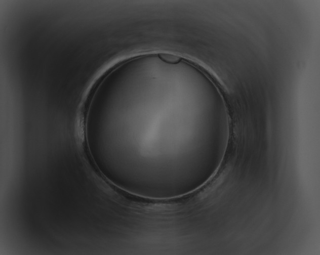 X0000100891510200806241221