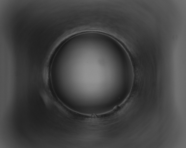 X0000100891511200806241221