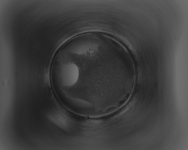 X0000100891513200806241221