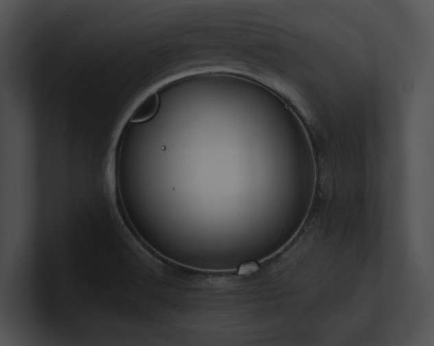 X0000100891516200806241221