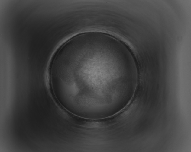 X0000100891517200806241221