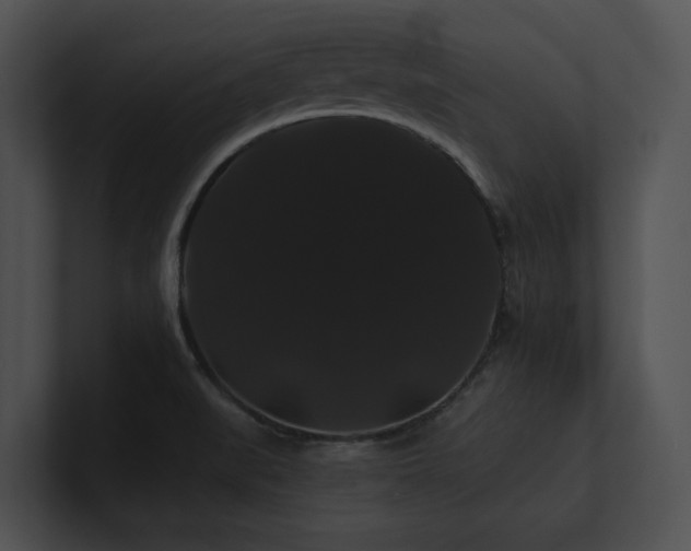 X0000100891519200806241221