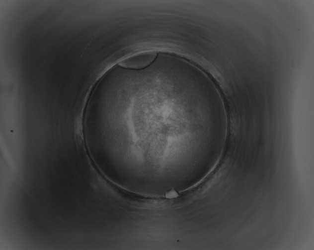 X0000100891521200806241221