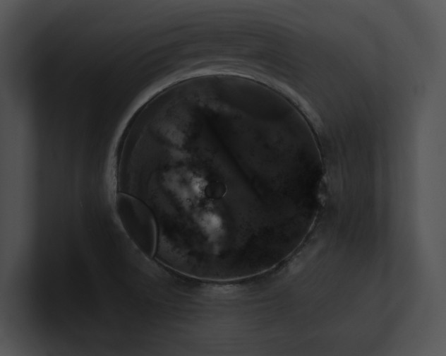 X0000100891522200806241221