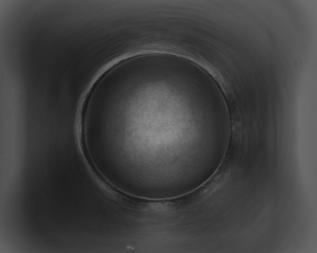 X0000100891523200806241221