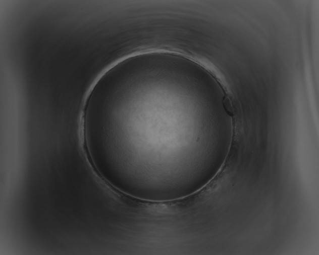 X0000100891524200806241221