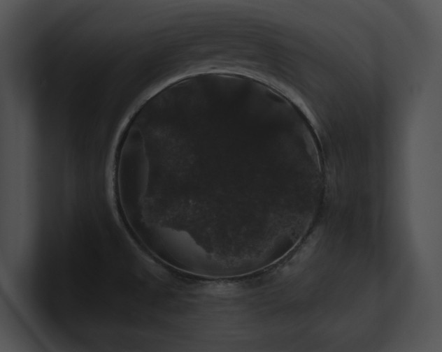 X0000100891525200806241221