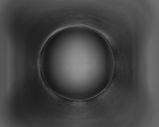 X0000100891526200806241221