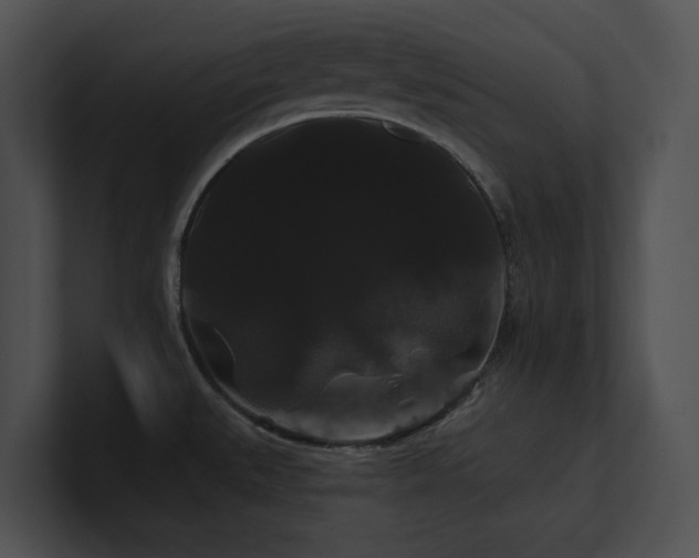 X0000100891527200806241221