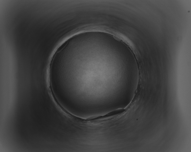 X0000100891528200806241221