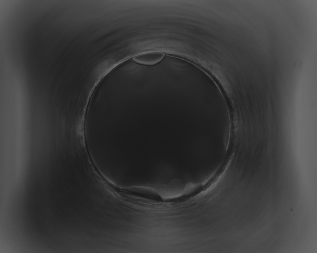 X0000100891529200806241221