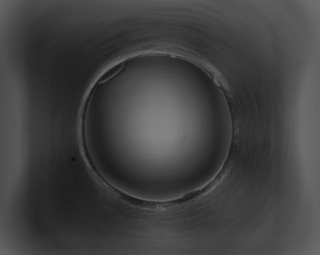 X0000100891530200806241221