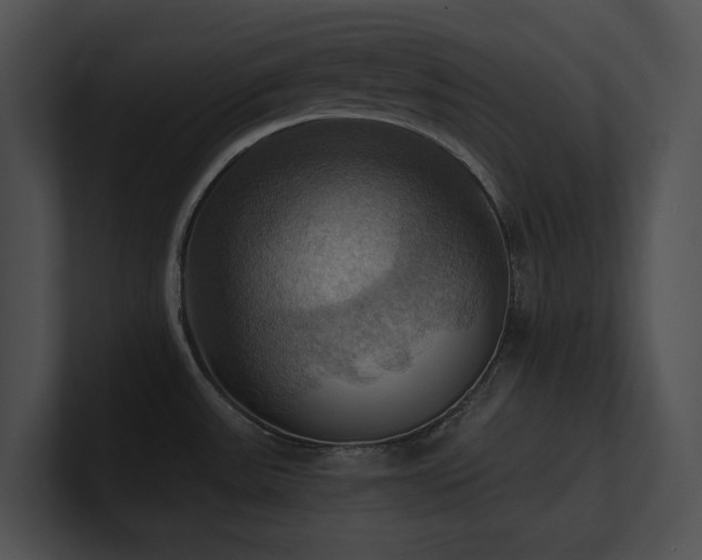 X0000100891531200806241221