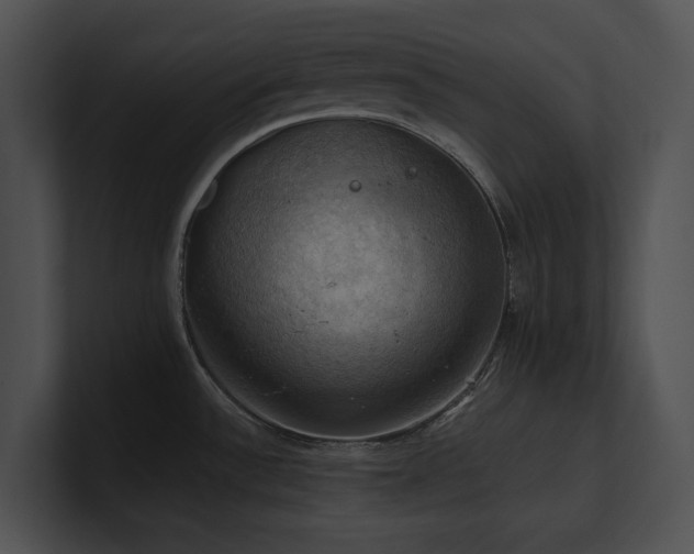 X0000100891532200806241221