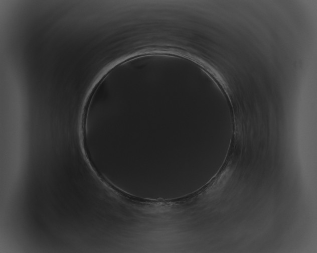 X0000100891533200806241221