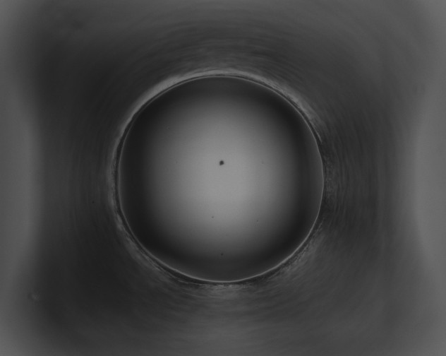 X0000100891534200806241221