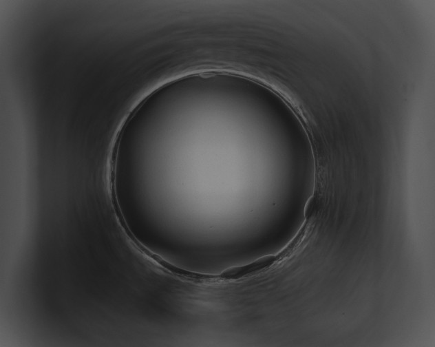 X0000100891535200806241221