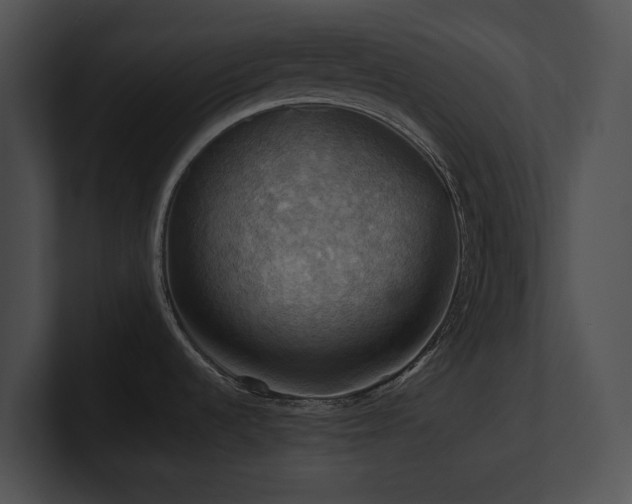 X0000100891536200806241221