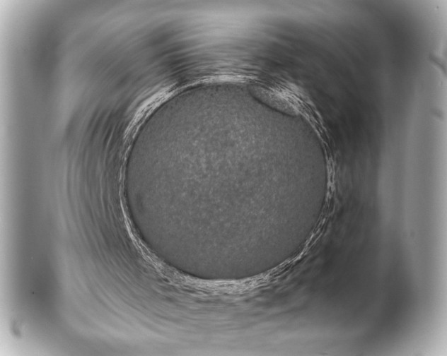 X0000100890001200807011208