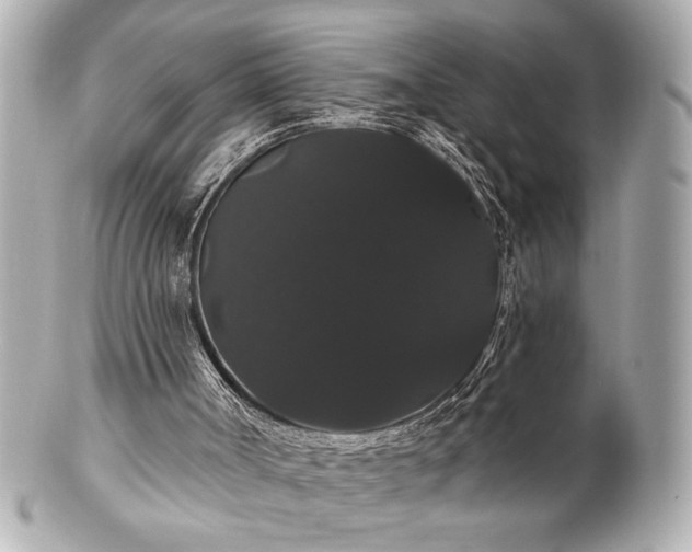 X0000100890002200807011208