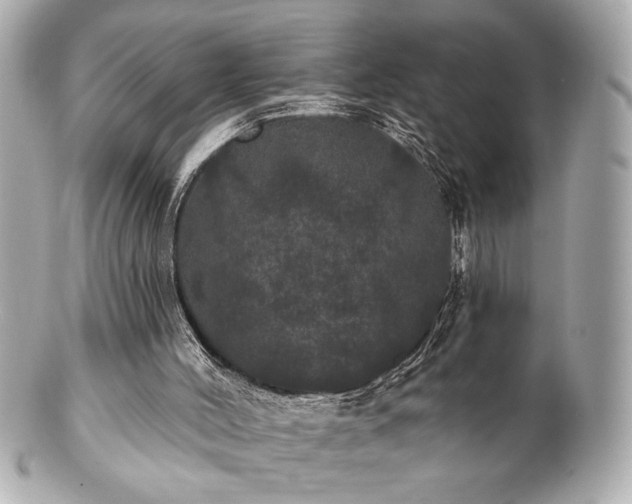 X0000100890004200807011208