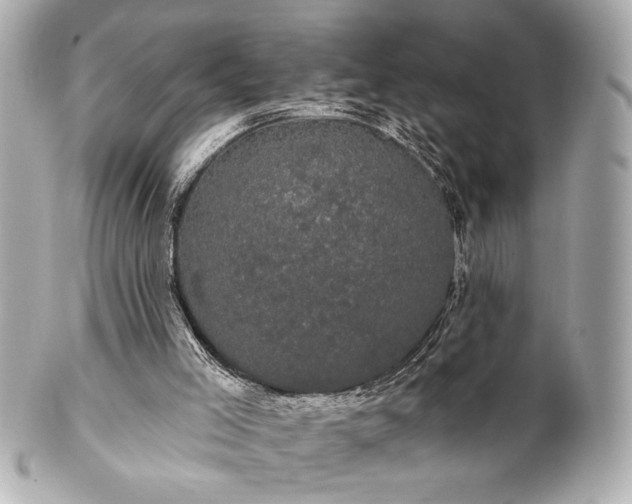 X0000100890005200807011208