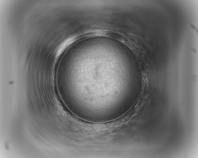 X0000100890006200807011208