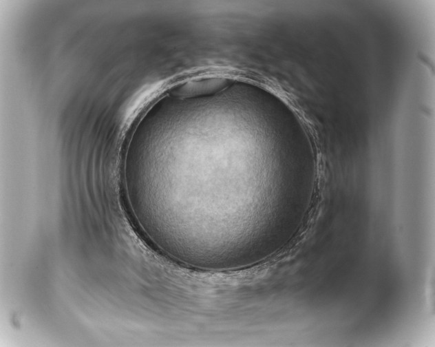 X0000100890007200807011208