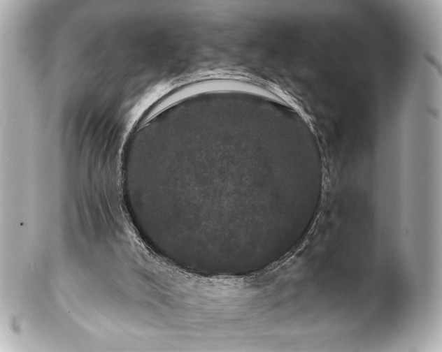 X0000100890008200807011208
