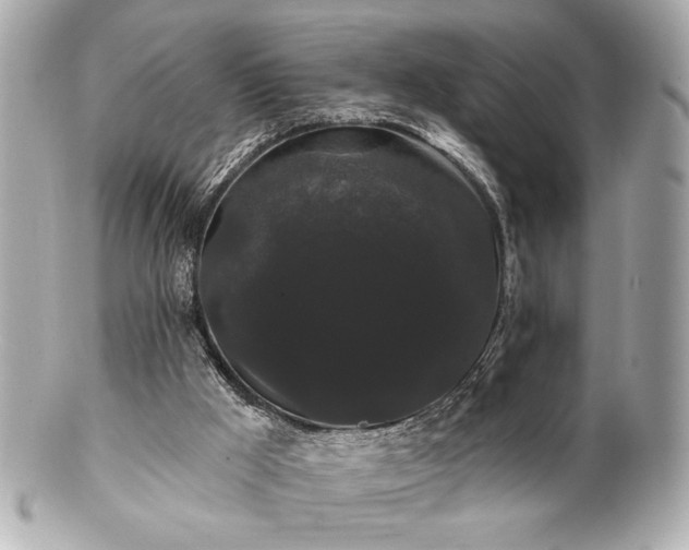 X0000100890009200807011208