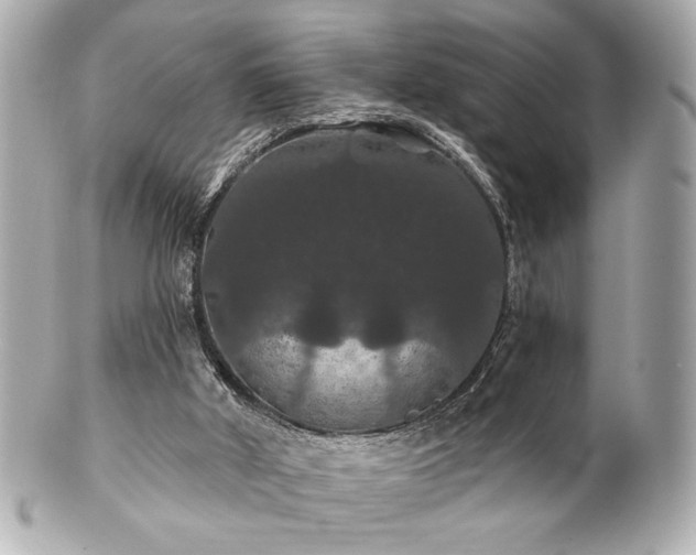 X0000100890010200807011208
