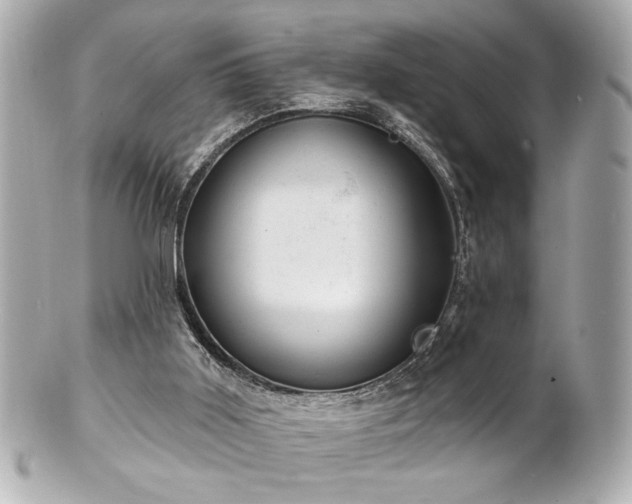 X0000100890011200807011208
