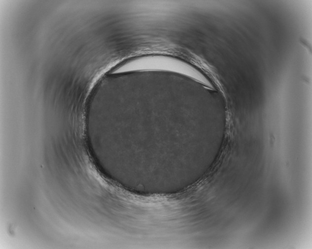 X0000100890012200807011208