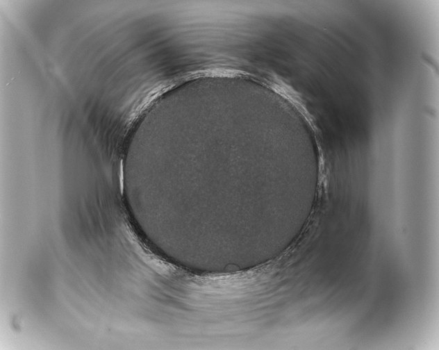 X0000100890013200807011208