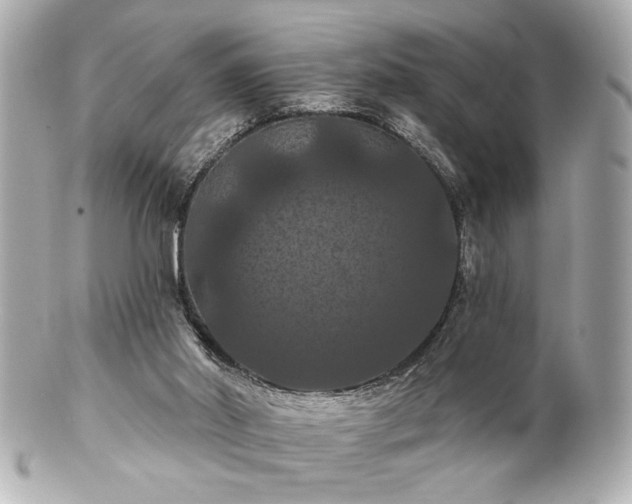 X0000100890014200807011208