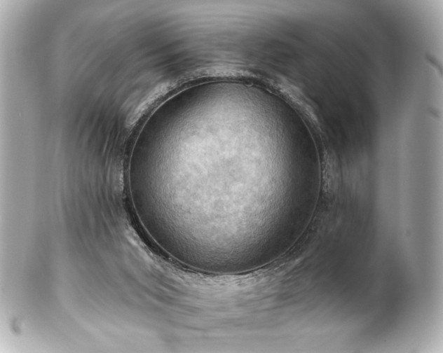 X0000100890015200807011208