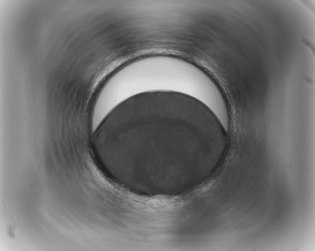 X0000100890016200807011208