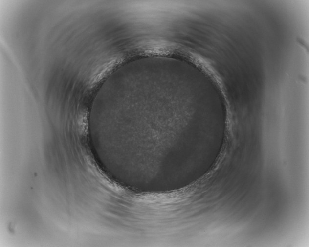 X0000100890017200807011208
