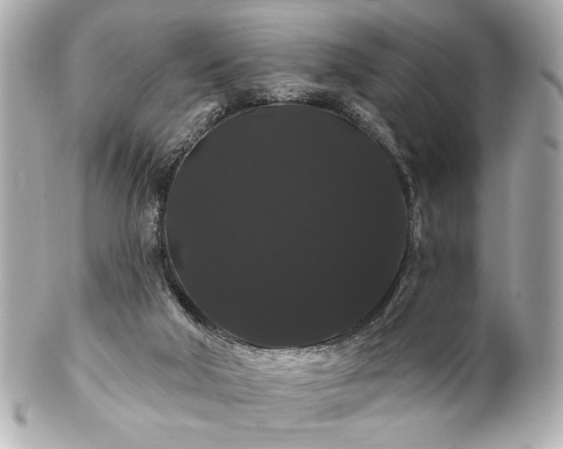 X0000100890018200807011207