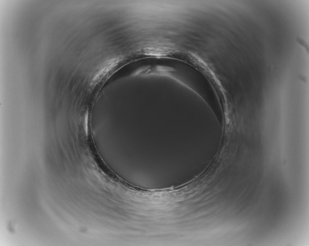 X0000100890019200807011207