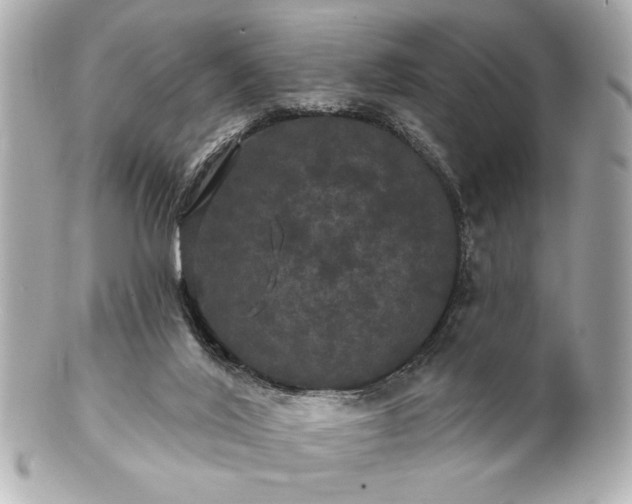 X0000100890020200807011207