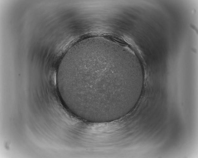 X0000100890021200807011207