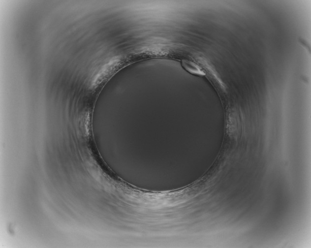 X0000100890023200807011207