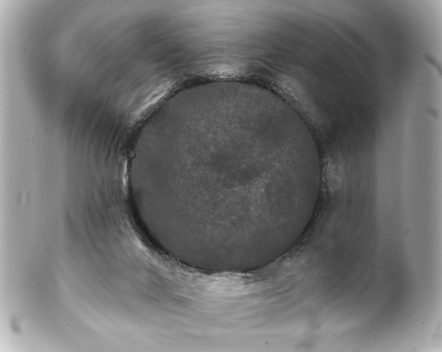 X0000100890024200807011207
