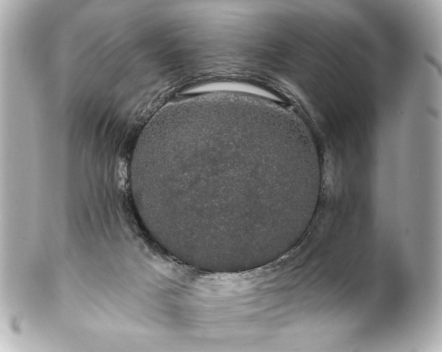 X0000100890025200807011207