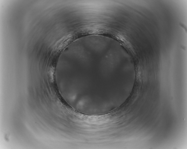 X0000100890026200807011207