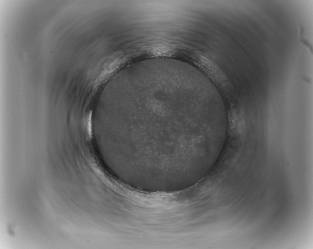 X0000100890028200807011207