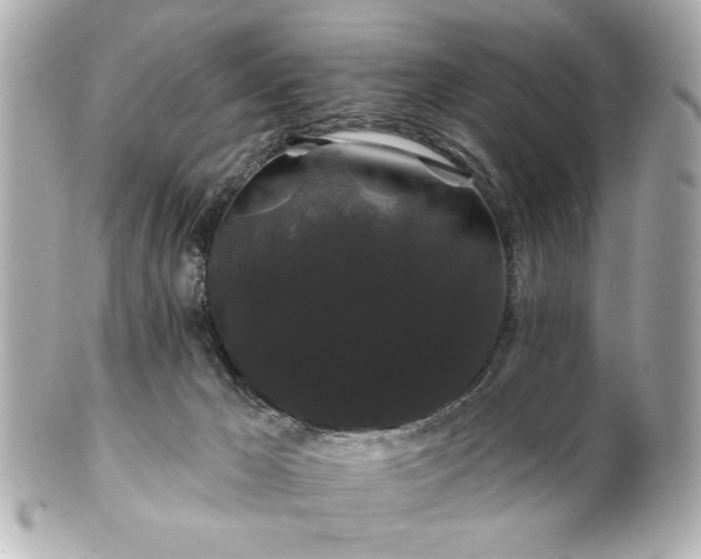X0000100890029200807011207