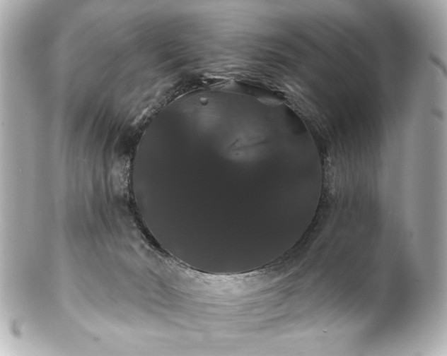 X0000100890030200807011207
